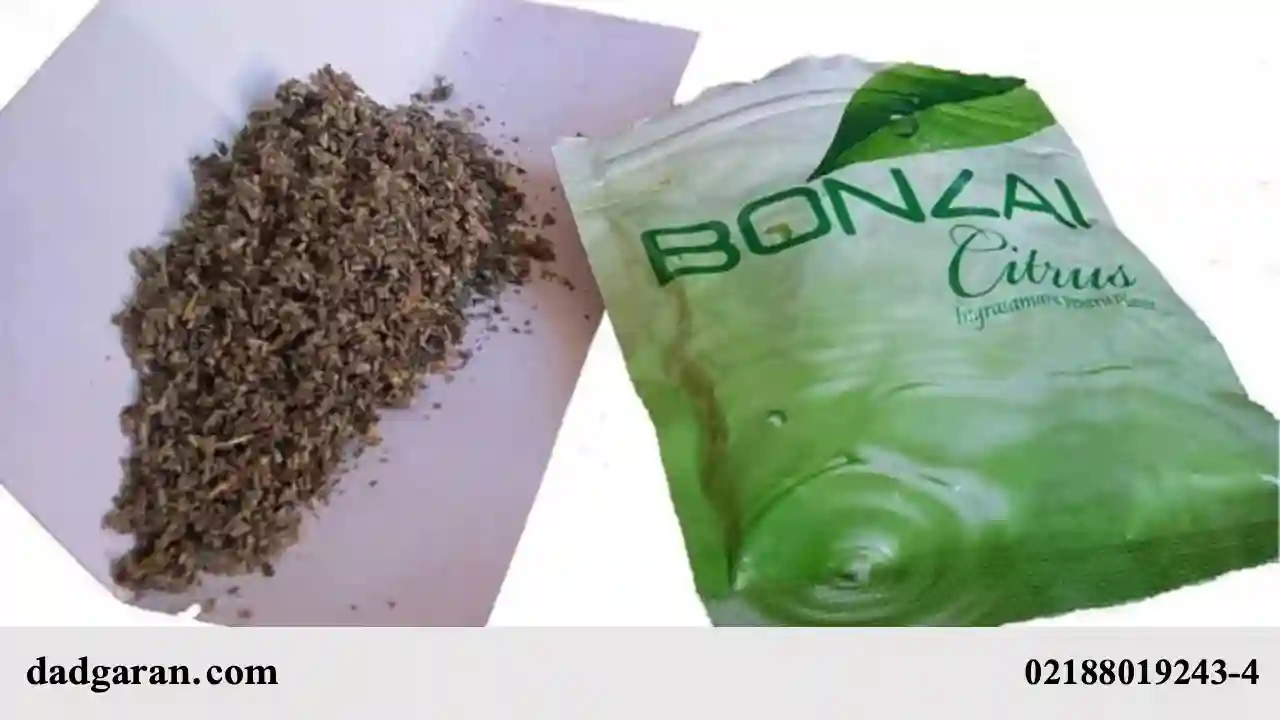 وارد کردن، صادر کردن و تولید انواع مواد مخدر-دادگران حامی