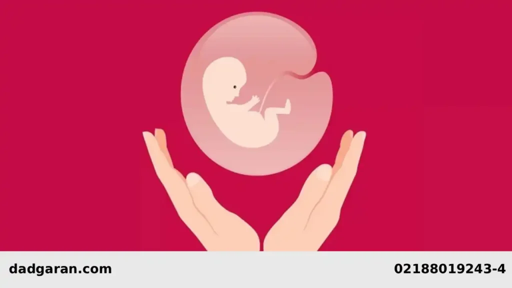 وضعیت طلاق زنی که باردار است-دادگران حامی