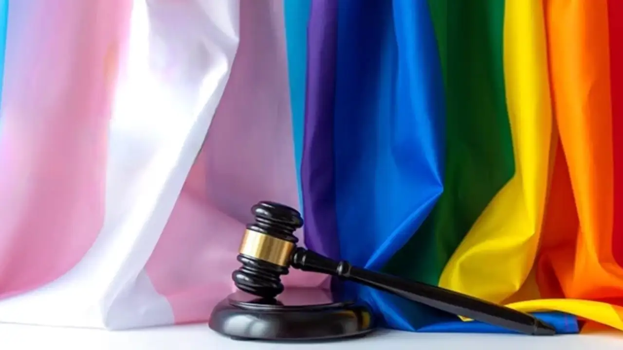 وکیل تطبیق جنسیت-دادگران حامی