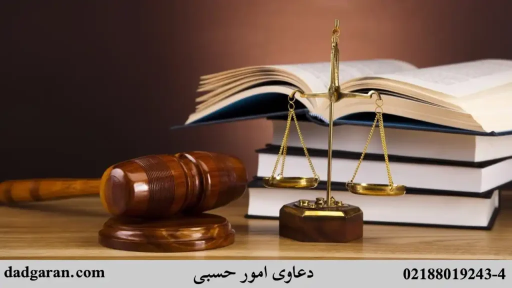 بررسی امور حسبی-دادگران حامی