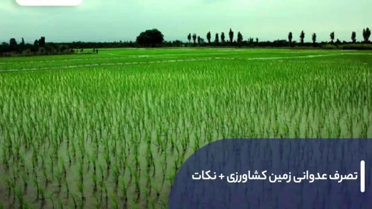 تصرف زمین کشاورزی-دادگران حامی