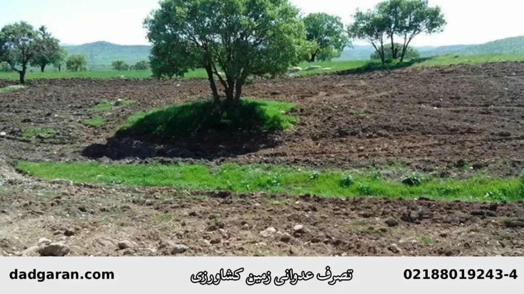 گرفتن زمین کشاورزی با دشمنی-دادگران حامی