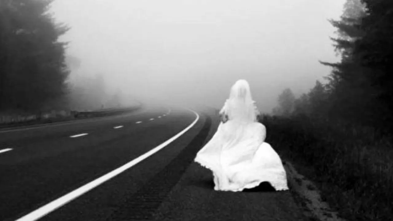 فرار زن بعد از عروسی-دادگران حامی