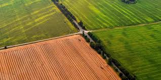 ثابت کردن مالکیت زمین موروثی-دادگران حامی