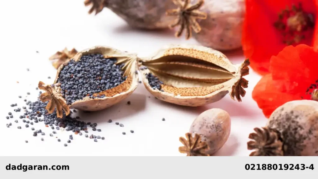 رای تریاک-دادگران حامی