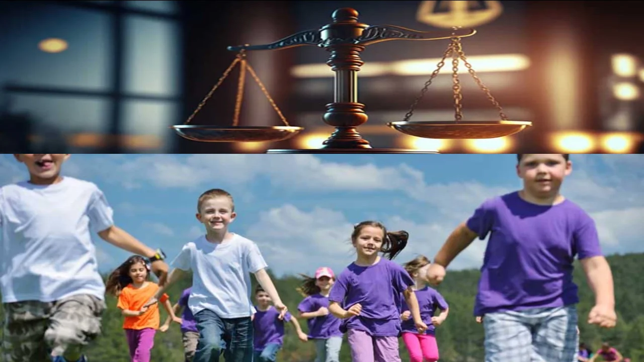 مقررات حقوق کودکان-دادگران حامی