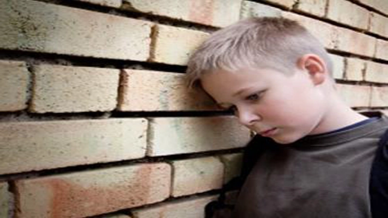   احکام، مقررات و آثار دعوای نفی نسب