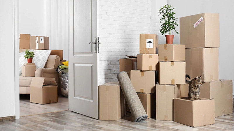 دستور تخلیه فوری ملک