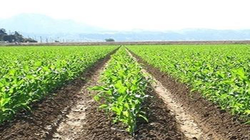  قرارداد واگذاری و انتقال حق آبه