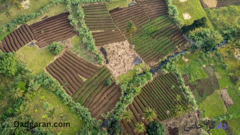 فسخ  کردن معامله زمین زراعی بدلیل ندادن مبلغ