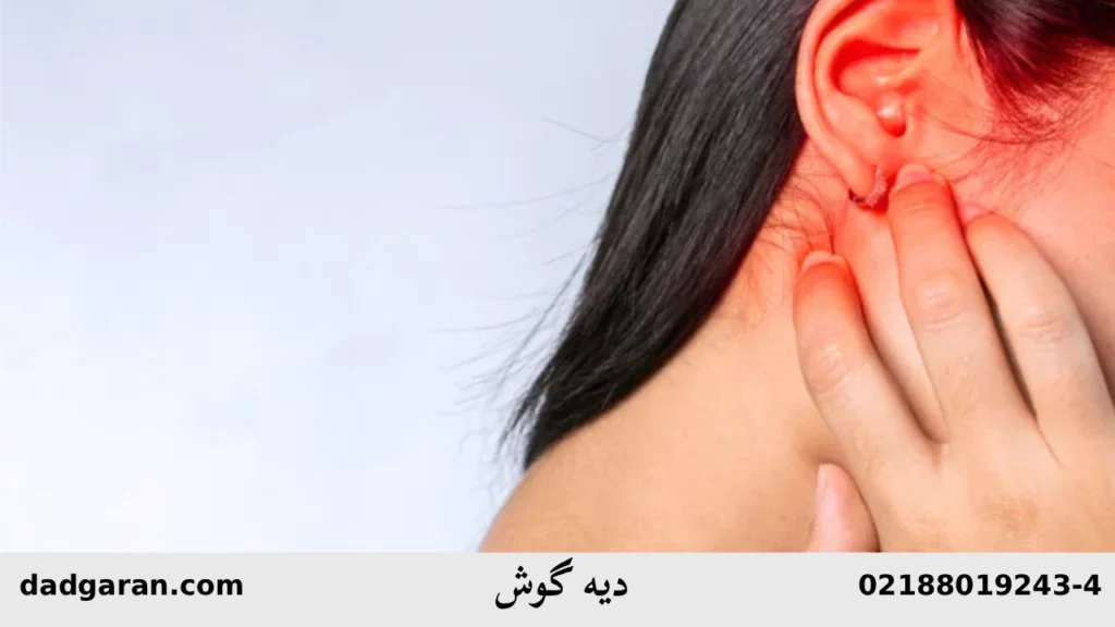 مبلغ دیه گوش-دادگران حامی