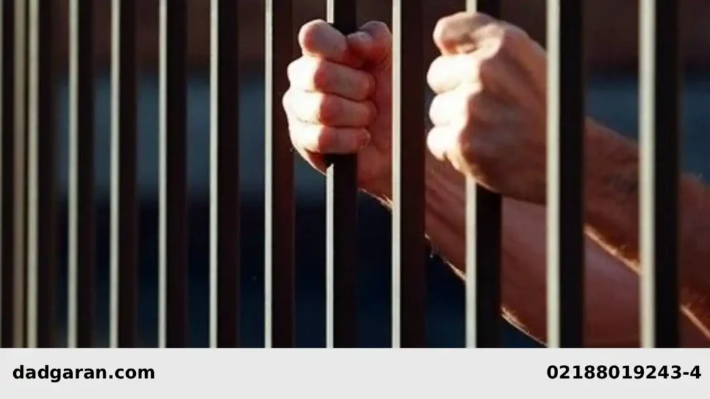 مقررات برگرداندن مجرم از خارج-دادگران حامی