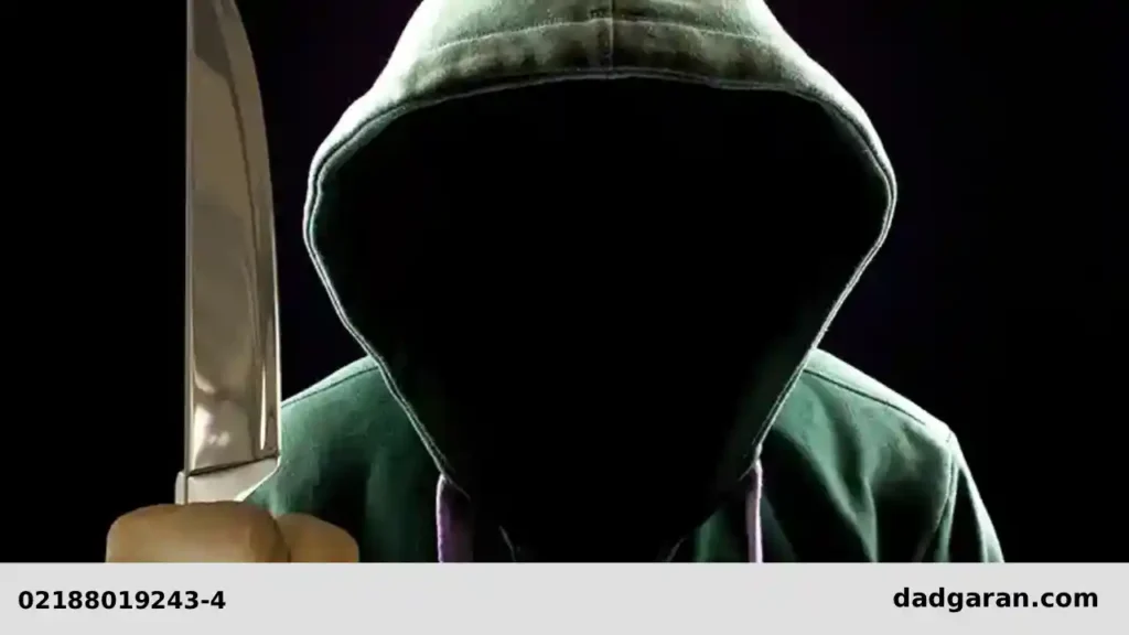 مفهوم جنون-دادگران حامی