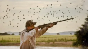 مقررات شکار در ایران-دادگران حامی