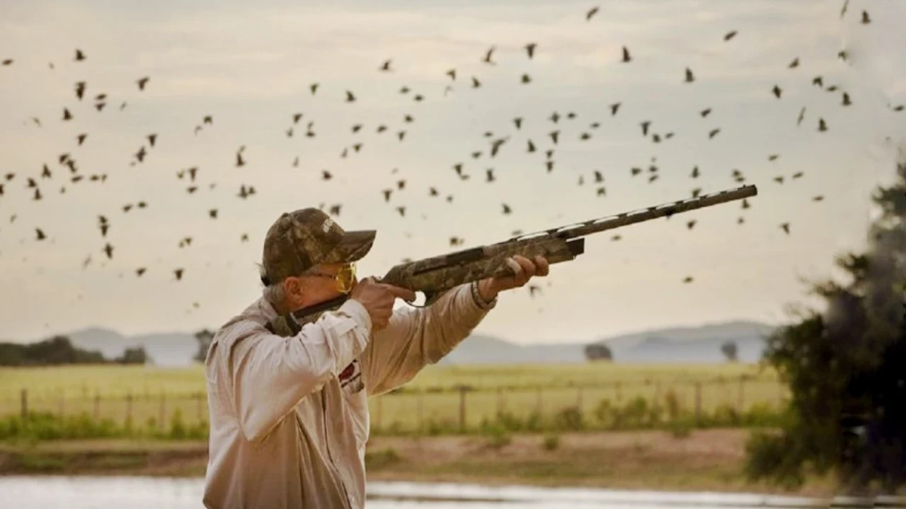 مقررات شکار در ایران-دادگران حامی