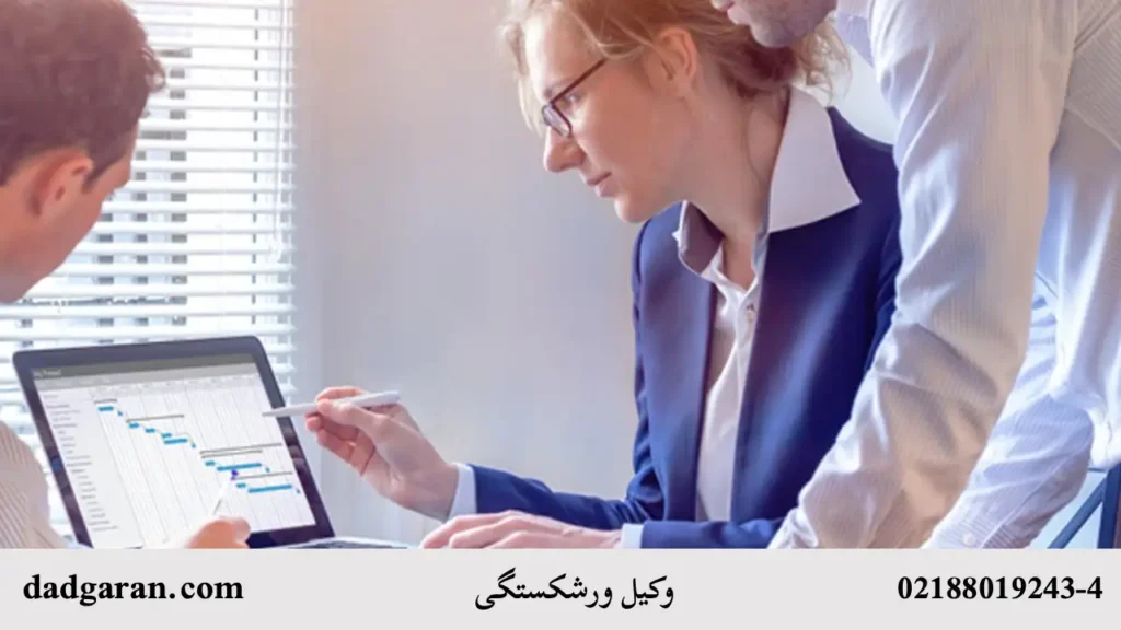 پرونده ورشکستگی-دادگران حامی